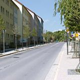 Neu angelegte Allee am Altstadtzugang Lohstraße